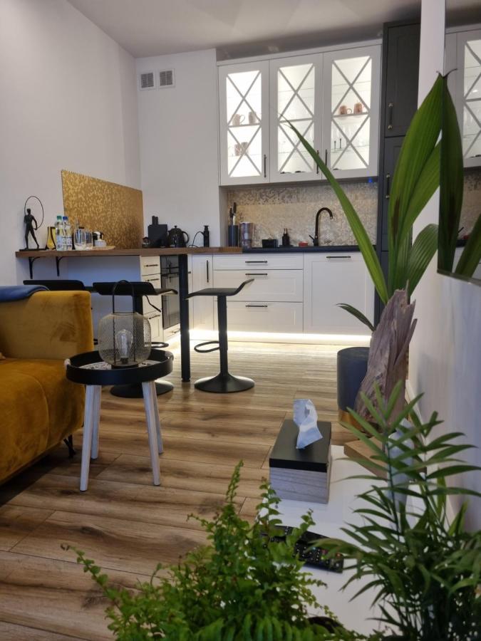 Apartament Wyspianski サノク エクステリア 写真